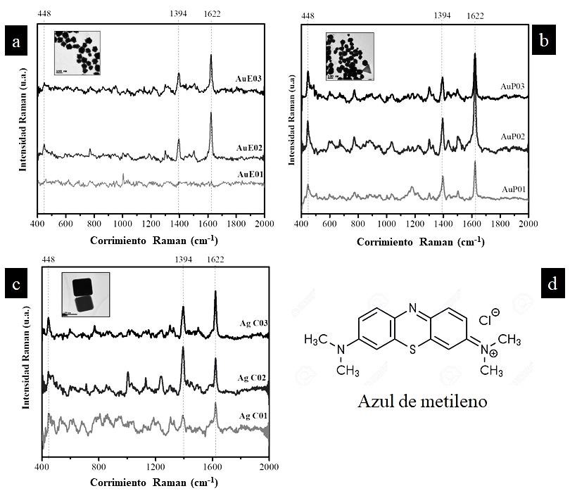 Espectros SERS de azul de metileno variando el contenido de las diferentes nanopartículas.