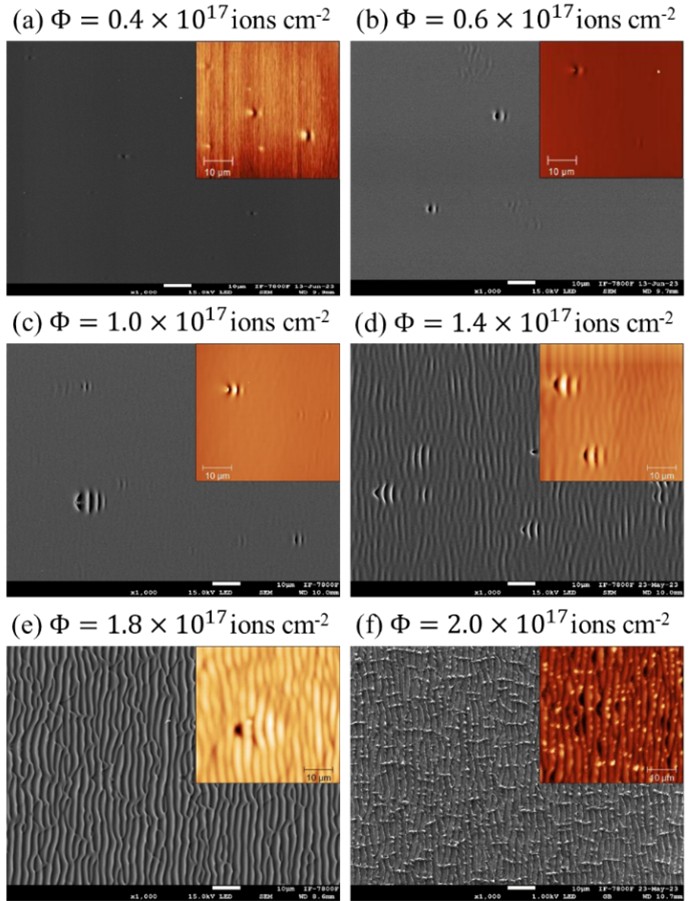 SEM and AFM micrographs of Au ion implanted SiO2 substrates (vs fluence).